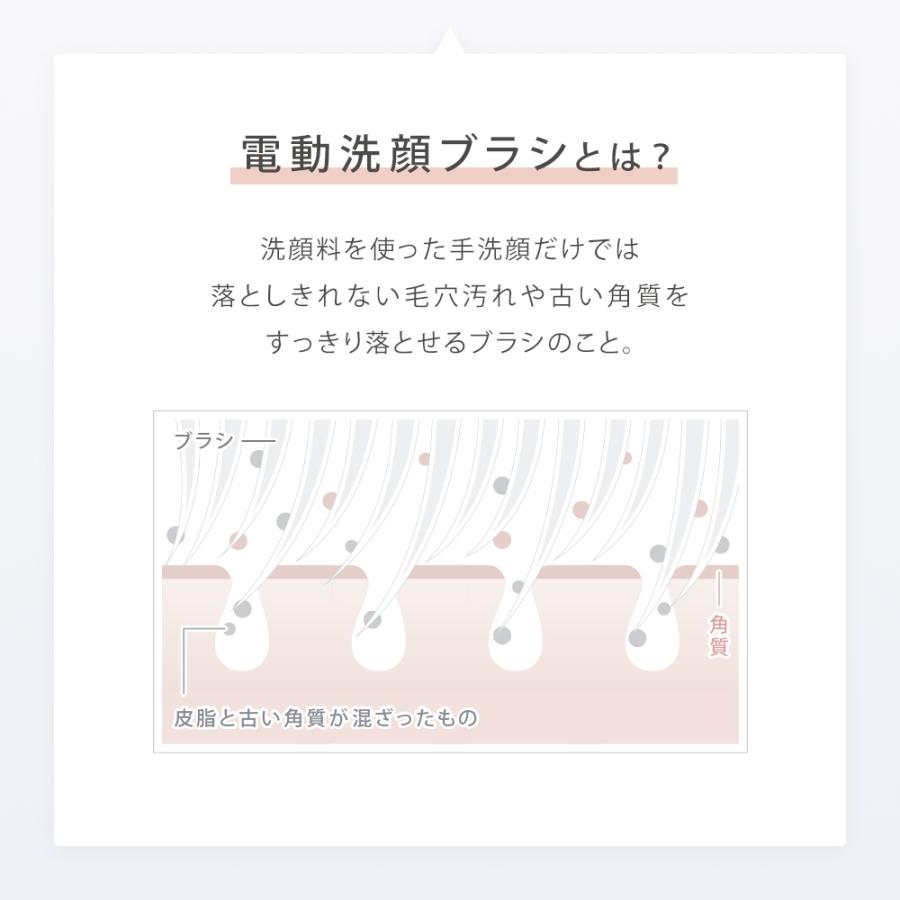 SALONIA（サロニア） イオン フェイシャルブラシ 電動 洗顔ブラシ