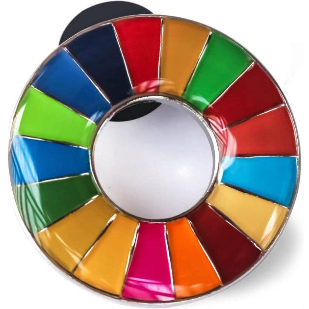正規販売店】 国連本部限定販売 SDGs ピンバッジ 日本未発売 UNDP 丸み