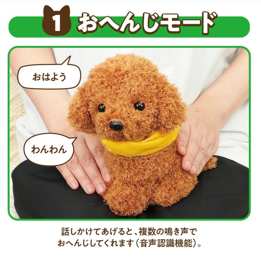 アーテック 音声認識 ぬいぐるみ おへんじアニマル2 トイプードル