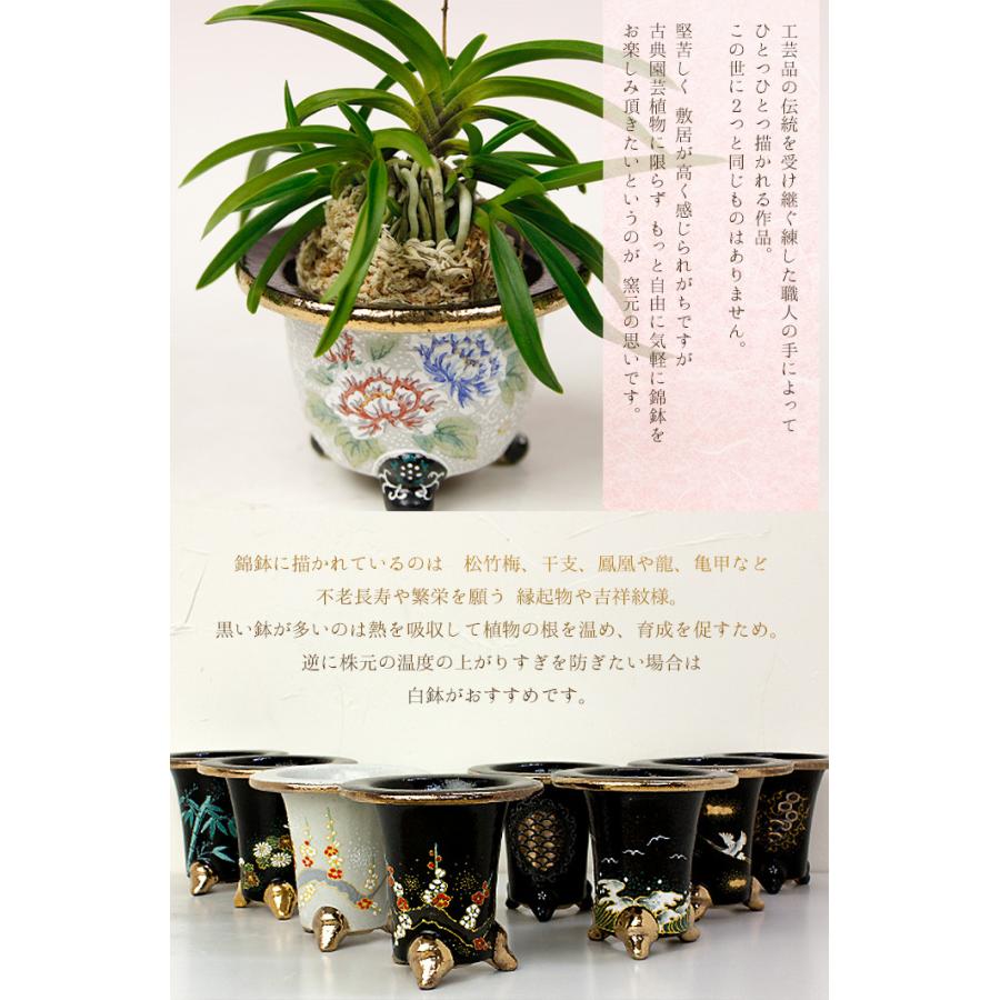 ◇京楽焼窯元「愛楽園」直送◇『富貴蘭鉢 虎・新龍・鳳凰』 3.0号 3.3