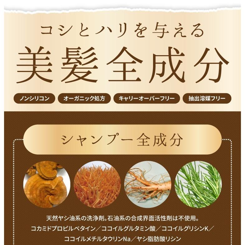 シャンプー トリートメント 単品 500ml 霊芝 冬虫夏草 送料無料 : 霊芝