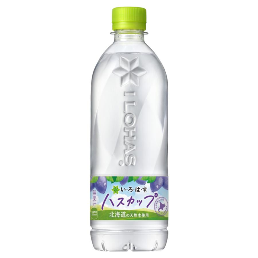 い・ろ・は・す 2 ケース 即納 各種 ( 285〜540ml PET × 24本入 ) より