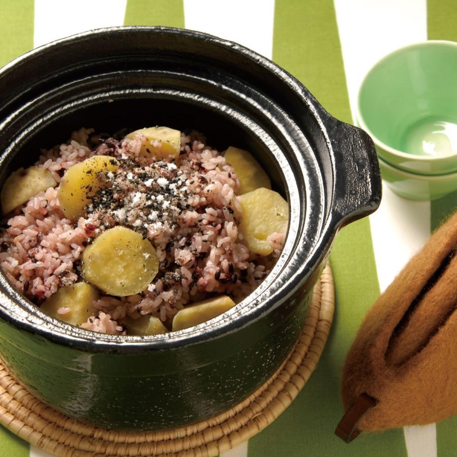 リンナイ（Rinnai） ≪特別価格≫【送料無料】長谷園 専用炊飯土鍋