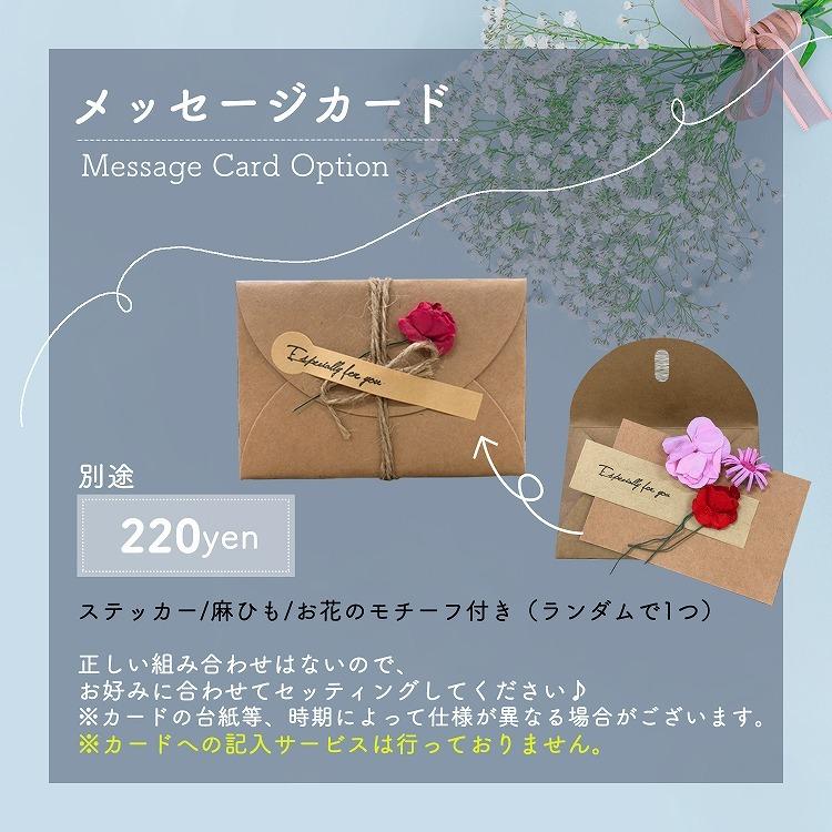 Christian Dior（クリスチャン・ディオール） ディオール Dior スノー