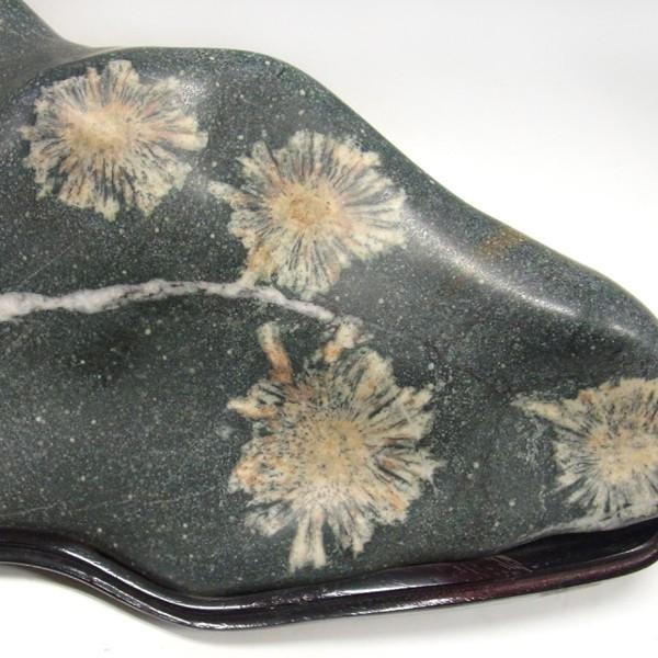 菊花石 約14.5kg 台付き 鑑賞石 原石 鉱物 鉱石 天然石 パワーストーン