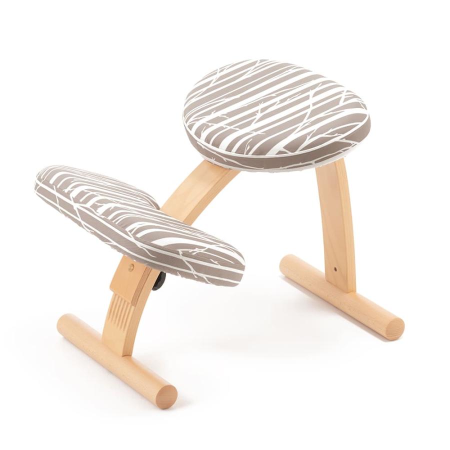 バランスラボ バランスチェア バランスチェアー バランスイージー