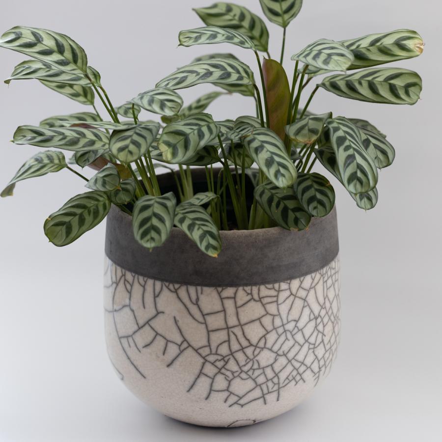 DOMANI Minsk ドマーニ ミンスク 20 パールホワイト 鉢カバー : S