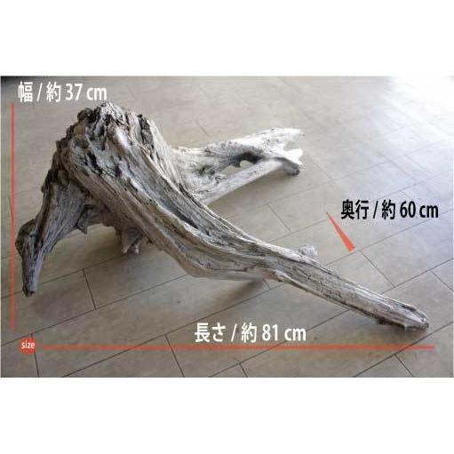 インテリア オブジェ 流木 おしゃれ 置物 玄関 雑貨 リビング 室内装飾