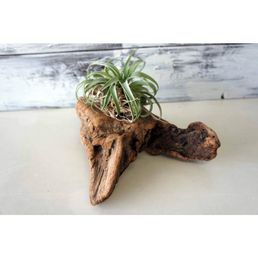 インテリア 流木 おしゃれ ナチュラル 雑貨 小物 オブジェ 置物 観葉