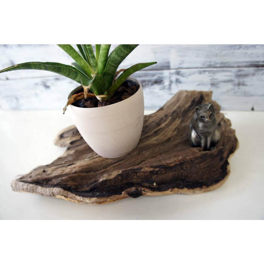 インテリア 流木 おしゃれ 雑貨 オブジェ 置物 観葉植物 ディスプレイ
