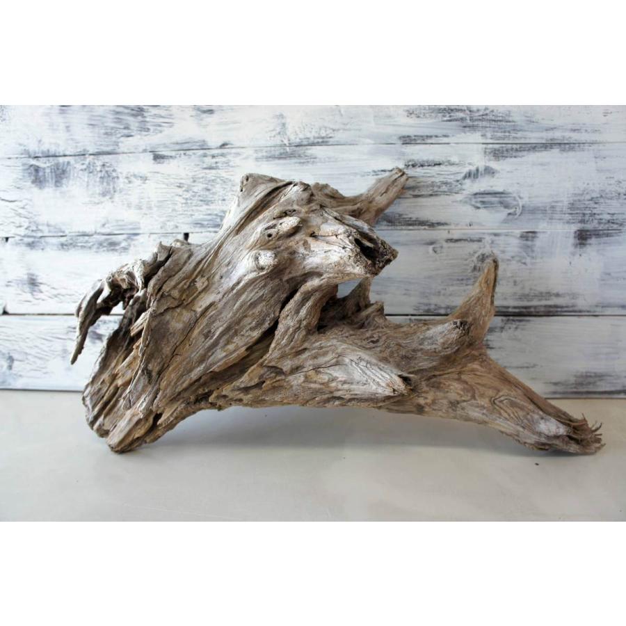 インテリア流木 おしゃれ 雑貨 オブジェ 置物 観葉植物 ディスプレイ