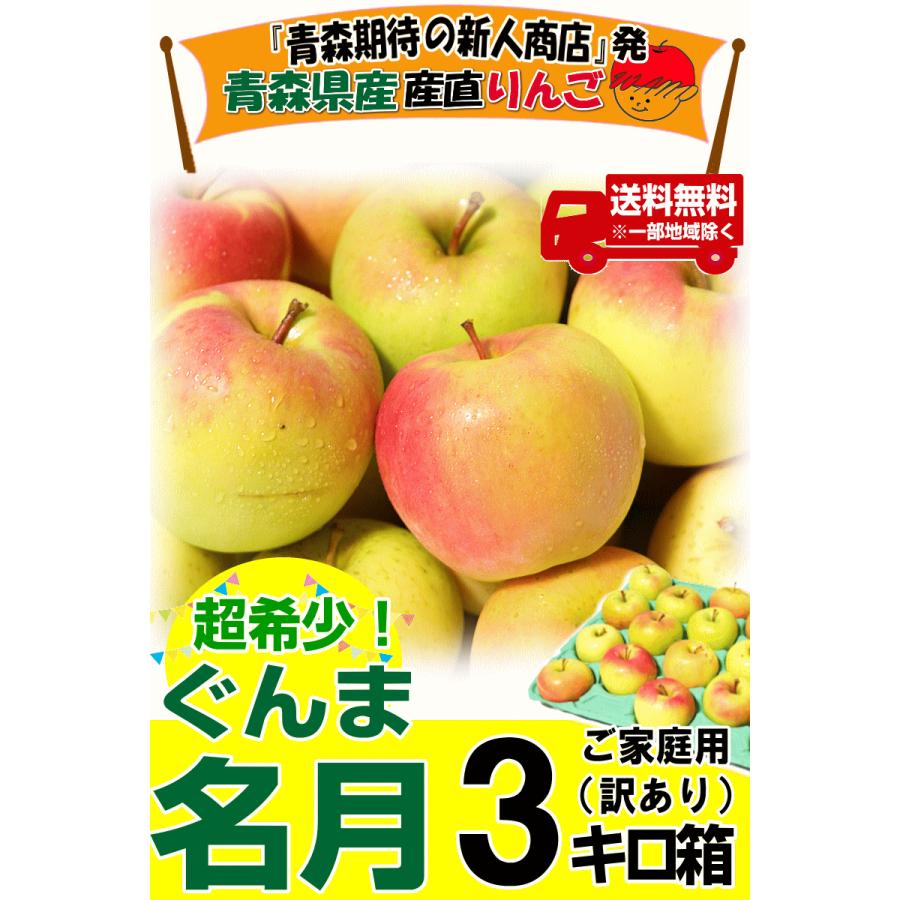 即日発送 青森 りんご 3kg箱 ぐんま名月 送料無料 家庭用/訳あり