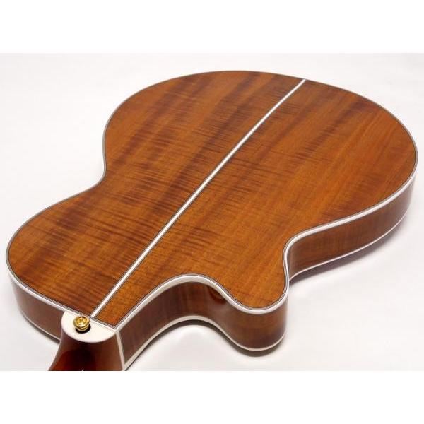 TAKAMINE(タカミネ) TSP178ACK N【薄胴ボディ 国産 エレアコ