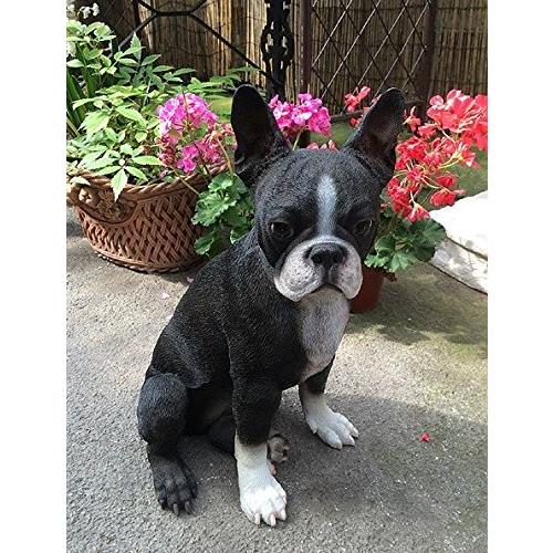 ボストンテリア（Boston Terrier） 犬の置物・オブジェ : ワールド輸入