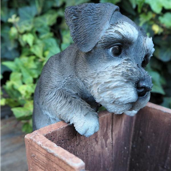 犬の置物 シュナウザー ハンギングドッグ T14205 いぬ イヌ 動物