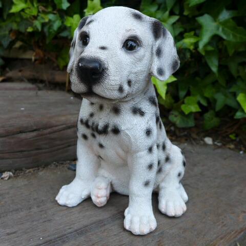 犬の置物 ダルメシアン いぬ イヌ 動物 T14070 オーナメント