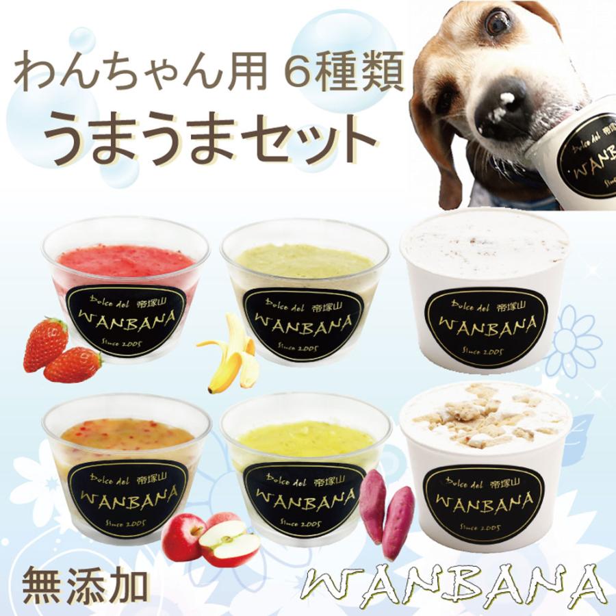 帝塚山WANBANA 犬用のアイス＆シャーベットひんやりうまうまセット6