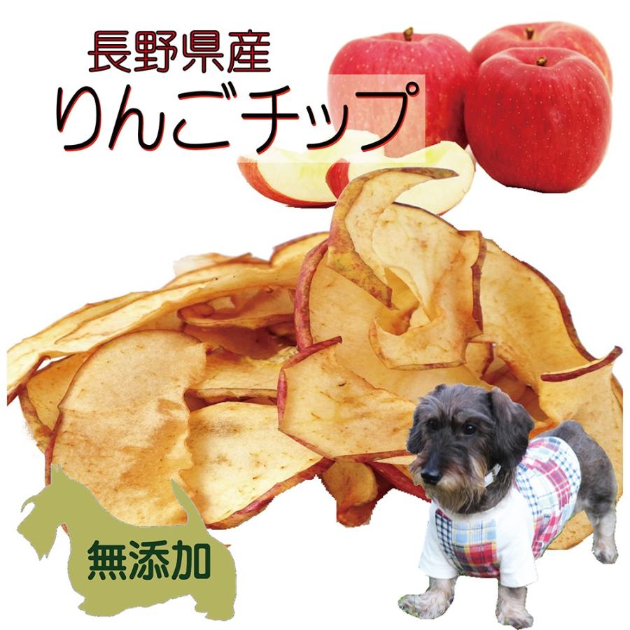 帝塚山WANBANA 犬用の無添加国産おやつ りんごチップス ドライフルーツ