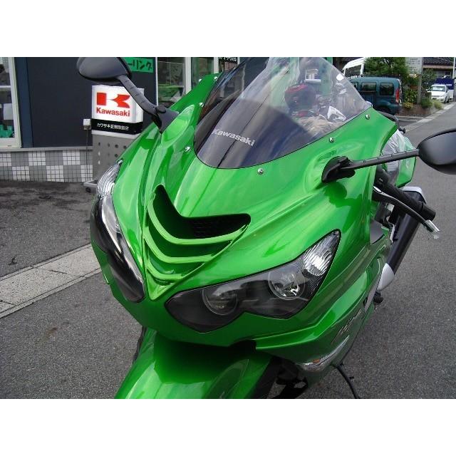 PLEASURE（プレジャー） ダクトルーバー カラー：ゴールデンブレイズド