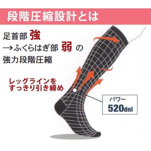 エナジック ハイソックス BiBi Grant エナジックハイソックス M