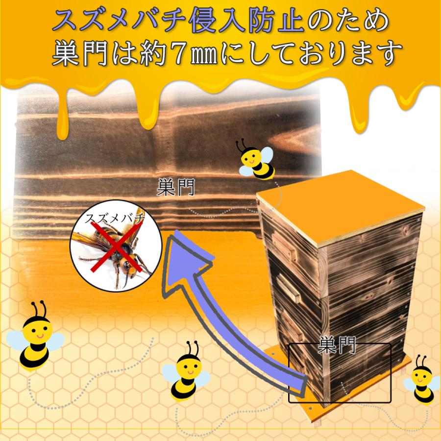 日本蜜蜂 巣箱 4段 二ホンミツバチ 日本みつばち 重箱式巣箱 送料無料