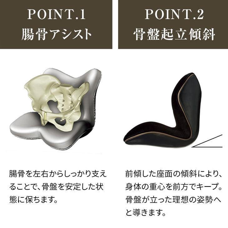 新品未使用】正規品 MTG 骨盤 姿勢ケア Style PREMIUM DX YA-AM03A