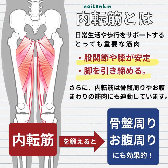 Re スタイリーボール フィットネスクラブがつくった レッド ネイビー