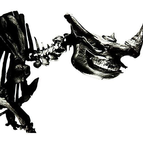 Mr.Children ミスター・チルドレン / 1996-2000 2001.07.11 ベスト