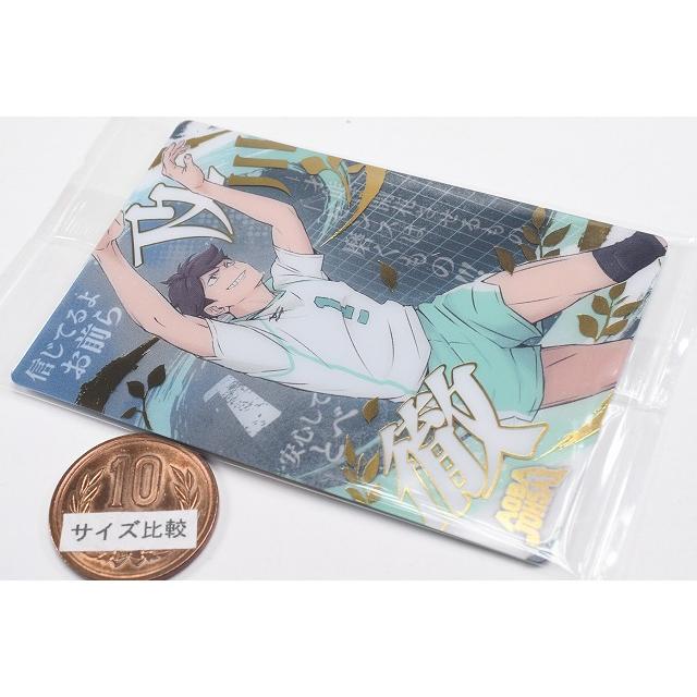 BANDAI（バンダイ） ハイキュー!! ウエハース6 [25.及川徹(スペシャル