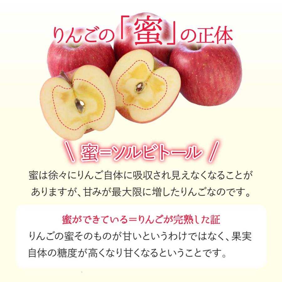 山形県産 訳ありサンふじりんご5kg(16~23玉)送料無料 ご家庭用 : 東北