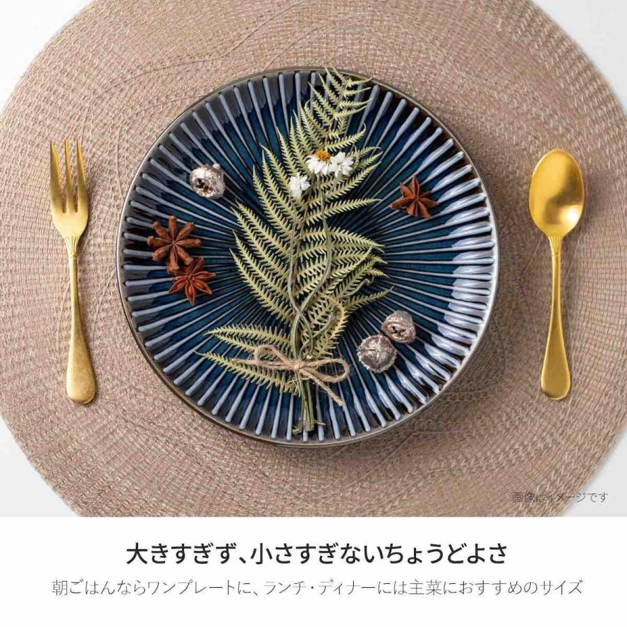 みのる陶器 窯変センダン sendan 中皿 おしゃれ 21cm しのぎ 皿 パスタ