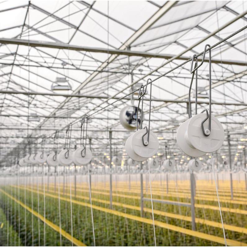 50個セット 白・黒選択) パスカル トマト誘引フック ローラーフック