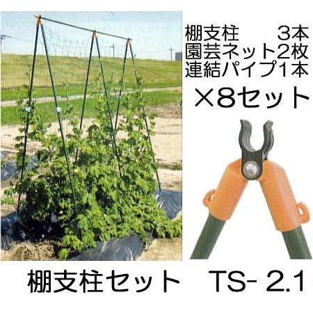 8セット特価) つるもの用 棚支柱セット TS-2.1 (2.1m) ×8パック 第一