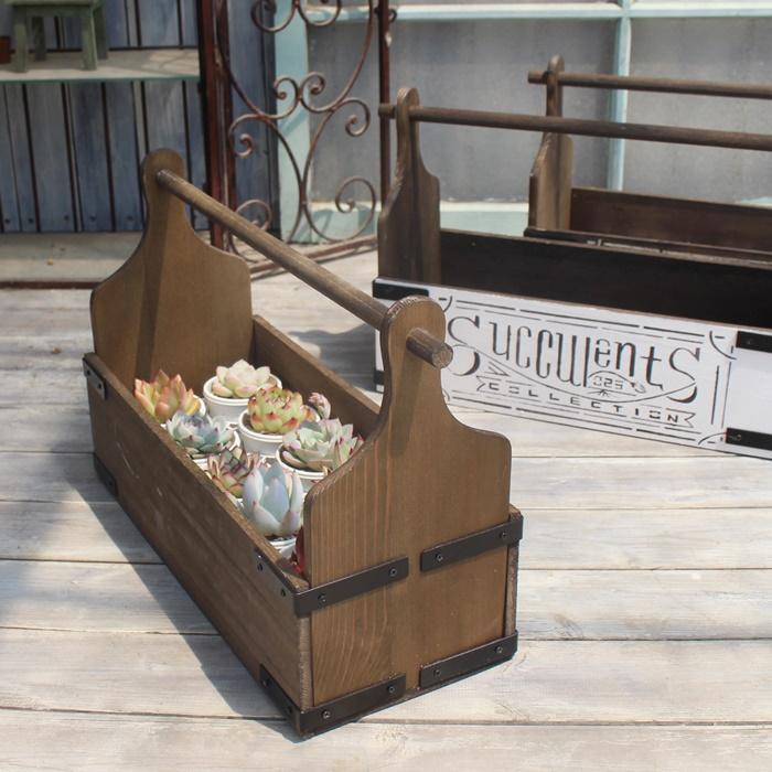 おかもちゼブラブラック 多肉永遠オリジナルエケベリア苗S付 多肉植物