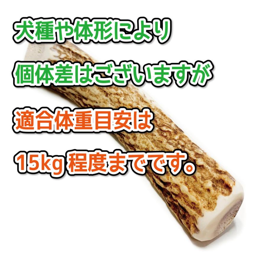 鹿の角 中型 犬 用 鹿角さん 四つ割り1本 天然 無添加 北海道産 蝦夷