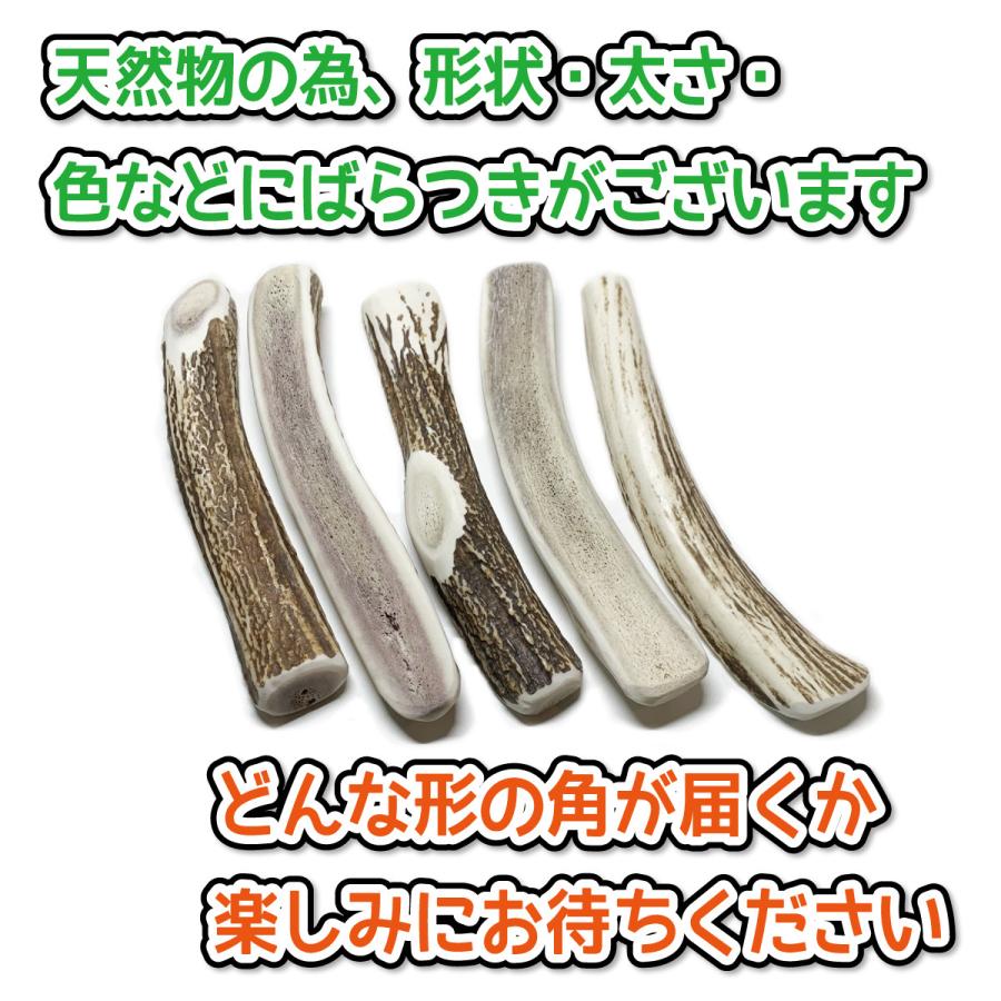 鹿の角 大型 犬 用 鹿角さん 半割り 約20cm 1本 天然 無添加 北海道産