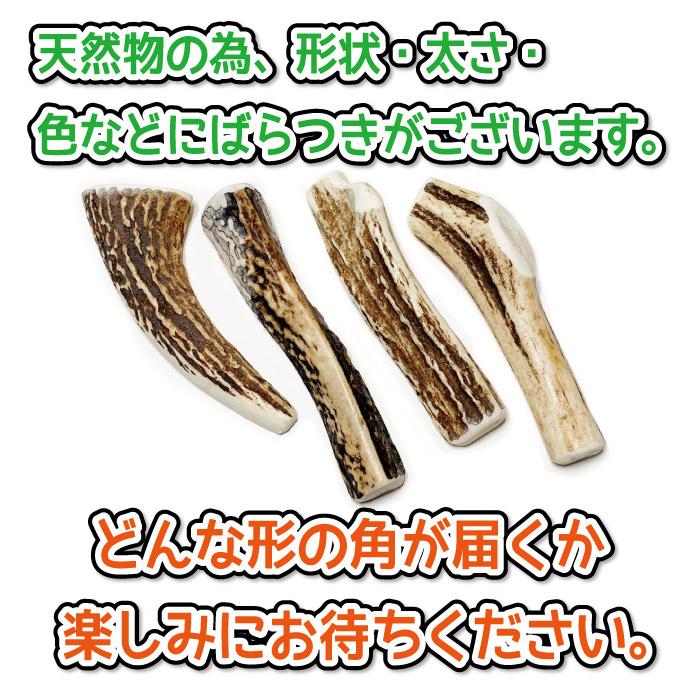 鹿の角 小型 犬 用 鹿角さん 半割り 2本セット 天然 無添加 北海道産