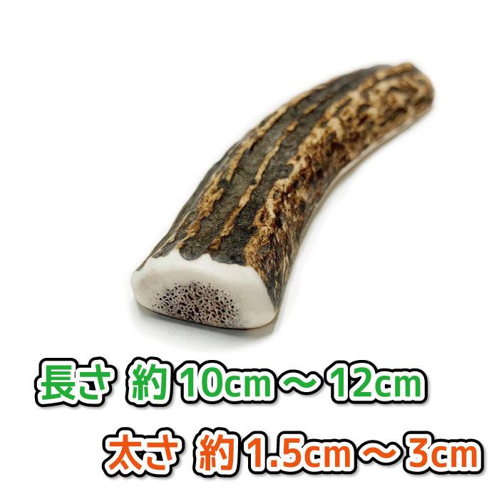 鹿の角 小型 犬 用 鹿角さん 半割り 2本セット 天然 無添加 北海道産