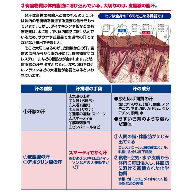 フジカ スマーティ F4-A5型 遠赤外線ドーム型サウナ : テルショップ