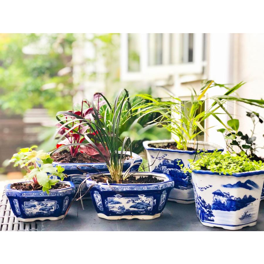 THE-SECRET-GARDEN シノワズリ プランター 3セット 青白陶器 ブルー