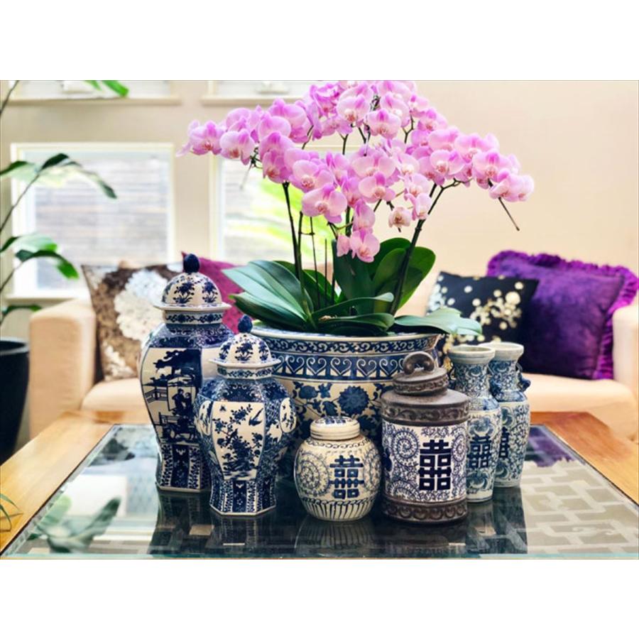 THE-SECRET-GARDEN シノワズリ Blue & White 飾り壺 大 青白陶器