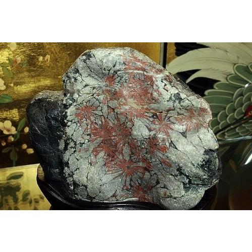 theory xyz 菊花石 岐阜県根尾谷赤倉山産 純国産 : theory xyz - 通販