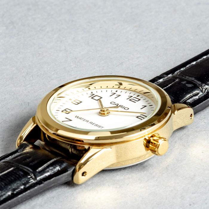 スタンダード（CASIO） 海外正規品 10年保証 日本未発売 CASIO