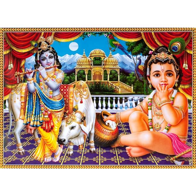 クリシュナ Krishna ポスター ヒンドゥー教 〔約70.5cm×約50.5cm〕大判