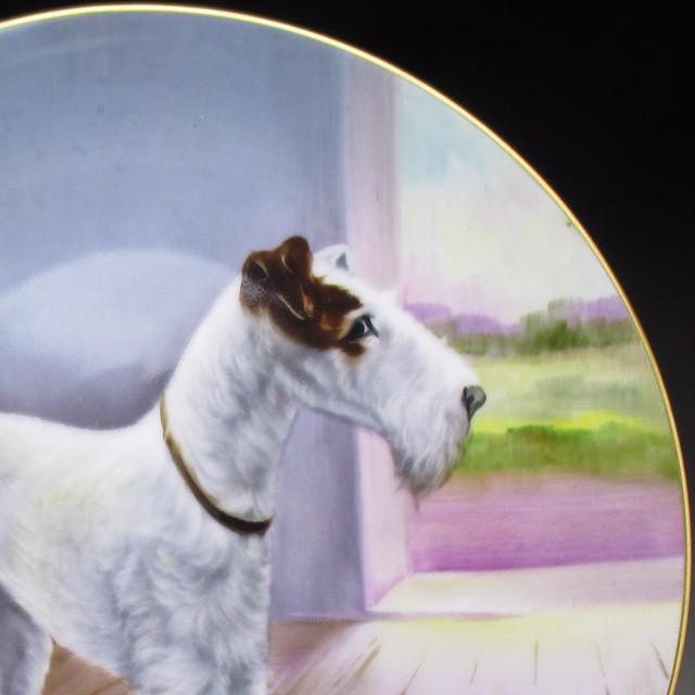 ノリタケ オールドノリタケ 犬絵 プレート 飾り皿 22cm : アンティーク