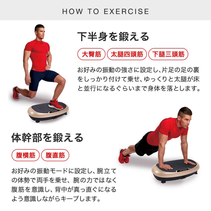 BODY SCULPTURE（ボディスカルプチャー） 振動マシン パワーウェーブ