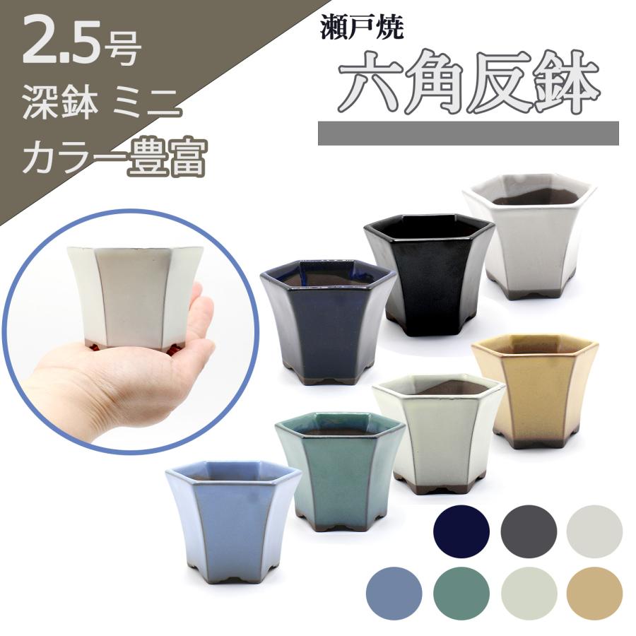 盆栽鉢 2号クラス ミニ 六角反鉢 懸崖 小鉢 瀬戸焼 2.5号 深型 陶器 約