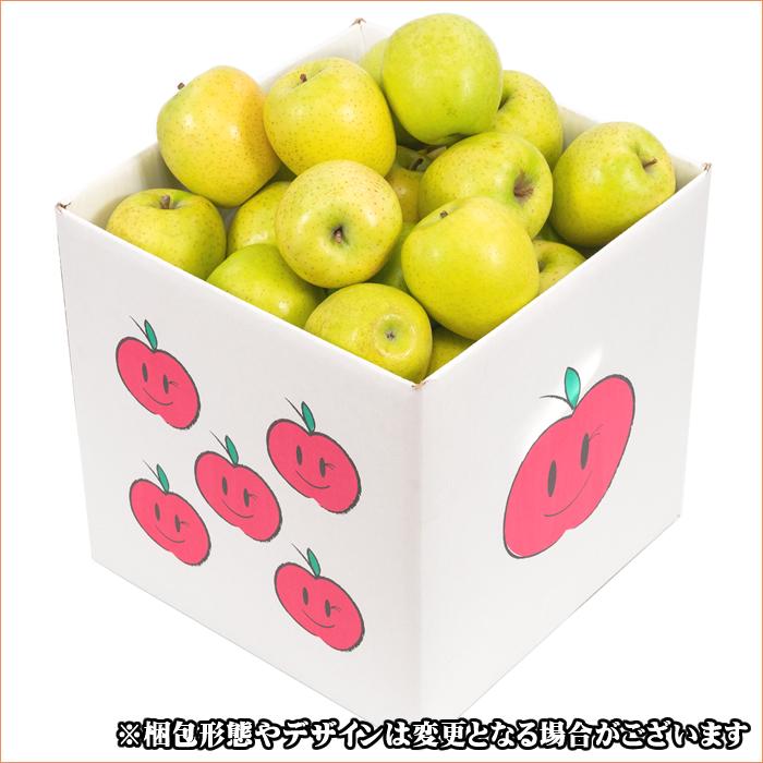 順次出荷中！】山形県産 ご家庭用 青りんご 王林 10kg(22〜46玉入り
