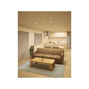 ODELIC（オーデリック） シーリングライト 【OL251360R】【OL 251 360R