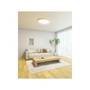 ODELIC（オーデリック） シーリングライト 【OL291420BR】【OL 291